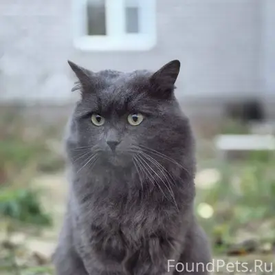 05.02.2026 09:33 Пропал...