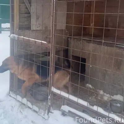 Помогите пожалуйста 🆘, информа...