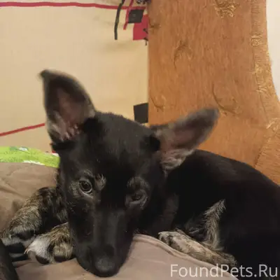 В морозы был найден в снегу...