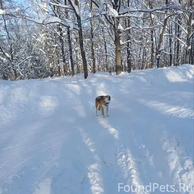 SOS!!!!‼‼‼ Со вчерашнего дня в...