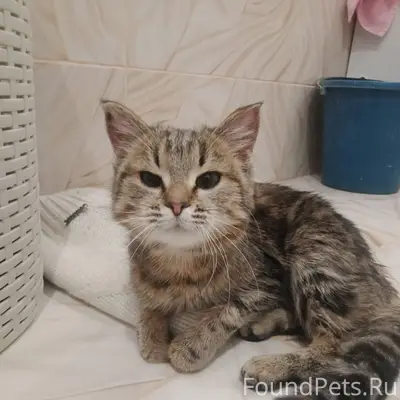 Пост для самых неравнодушных и...