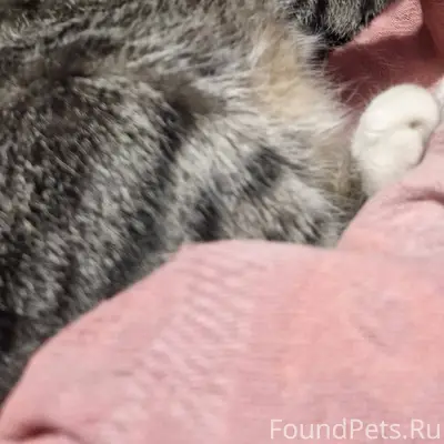 В Канищево в районе 3 квартала...