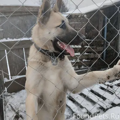 Срочно 🆘🆘🆘 Репост пожалуйста. ...
