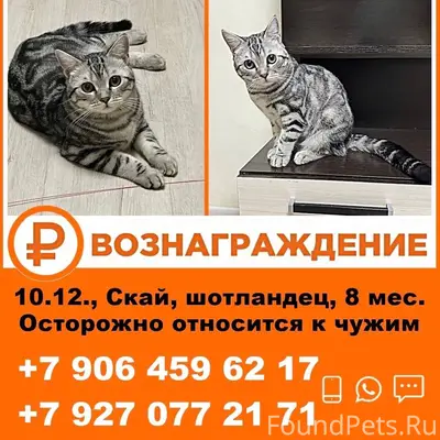 📍Жилгородок, р-н Первой школы....