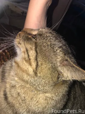 Уважаемые жители... срочно нуж...