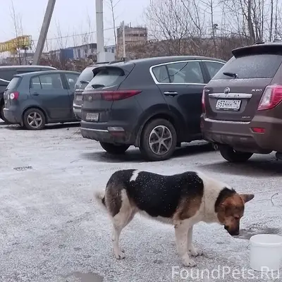 Срочно! Прошу репост! Во время...