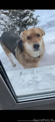 📍ул. Якушева, Октябрьский райо...