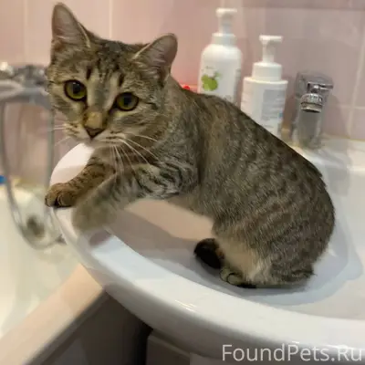 5 февраля в 18:30 примерно...