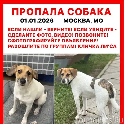 Сердечно Вас прошу, разместите...