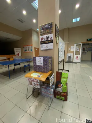 Утро, которое изменило всё: ис...