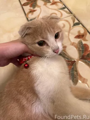 СПБ БАЛТИЙСКАЯ ЖЕМЧУЖИНА ‼️‼️С...