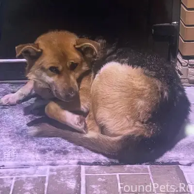 ❗СРОЧНОЕ ВКЛЮЧЕНИЕ❗БАЛАБАНОВО,...