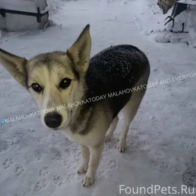 #жителипишут 🆘🆘 Помогите верну...