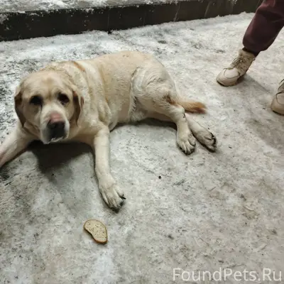 05.02 в 20-30 найден...