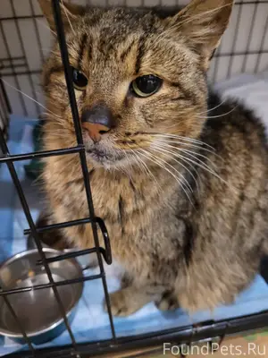 Доброго времени суток. Может к...