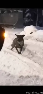 Ленинградская область, Кировск...