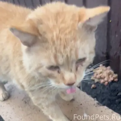 ‼️‼️‼️может кто-то поедет в Че...