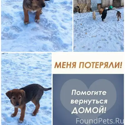 ПОВТОРНОЕ!!! Семилуки, Семилук...