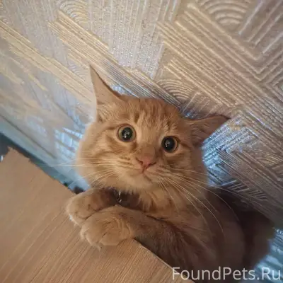 На улице Державина 14 2-й...