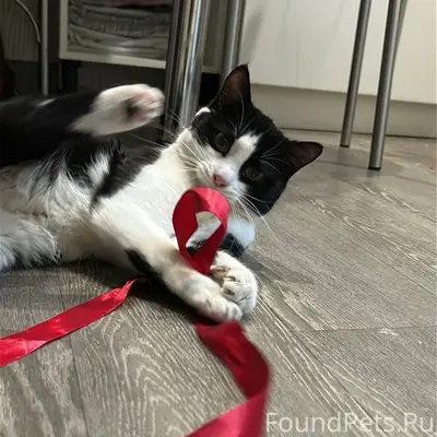 🆘Очень, очень срочно!🚨 Найдена...