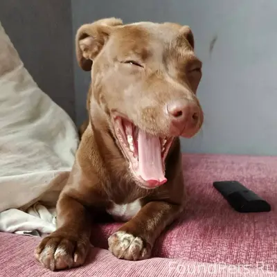 Здравствуйте утром 5 числа дан...