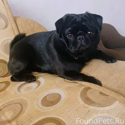 🆘 Помогите найти 🆘 📍Пропала со...