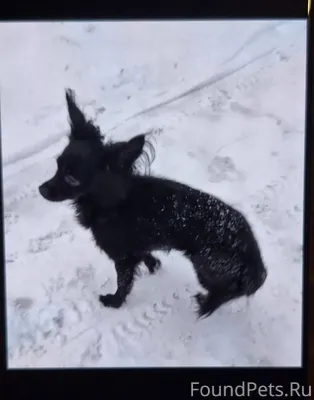 Добрый вечер прошу помощи поте...