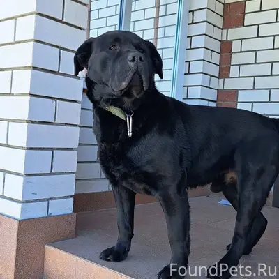 Доброе утро )) вот и не верь.....