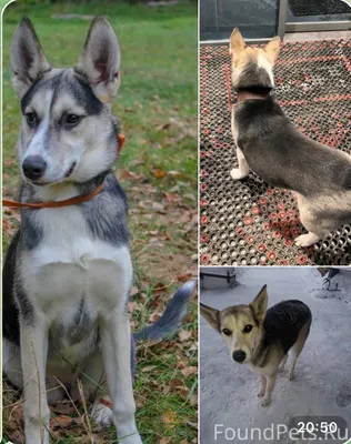 10 января пропала в районе Мал...