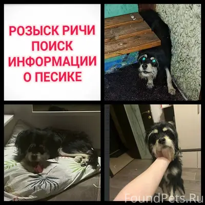 Мурманск. До сих пор не найден...