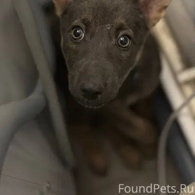 🆘️🆘️🆘️Волгоград, Дзержинский р...