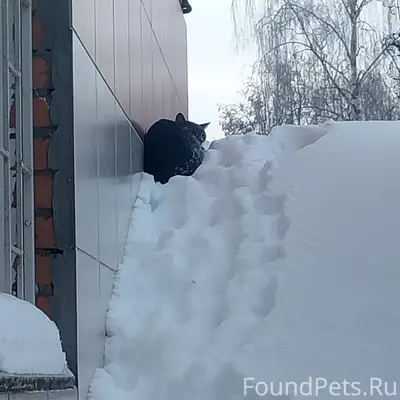 #найдено Голутвин.Сегодня 6 фе...