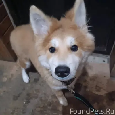 Около 8 утра 6 февраля в...