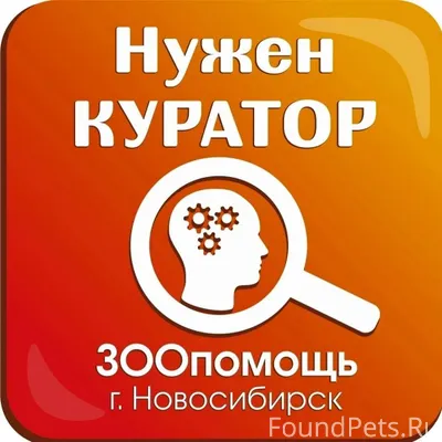 По району бегает собака с окро...