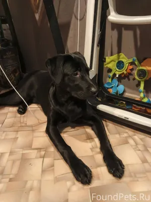 Очень надеемся на репосты ,вдр...