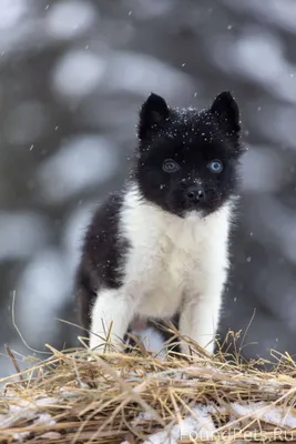 👀Никому особо не рассказывала ...