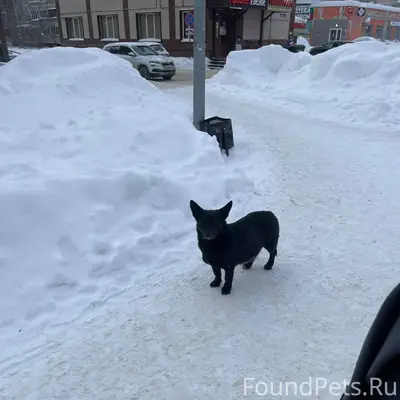 Дзержинск, район бульвара Косм...