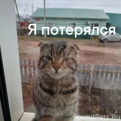 ❗Помогаю информационно❗ Админ ...