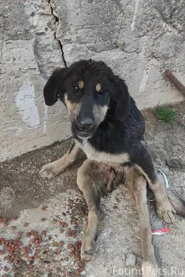 Обращаюсь за помощью! Мы ищем ...