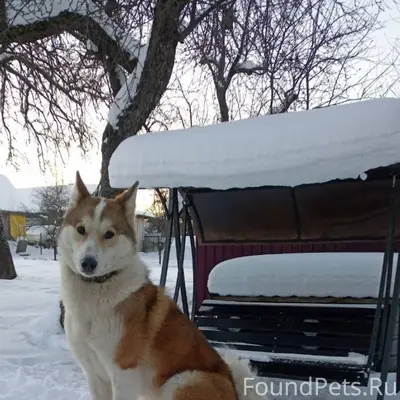Сегодня утром на старом Ярцево...
