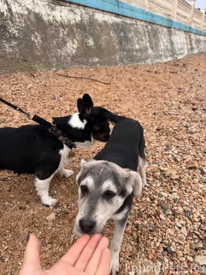 В парке Победы в Севастополе с...