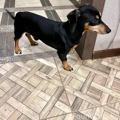 Около 19:20 у магазина «Пятёро...