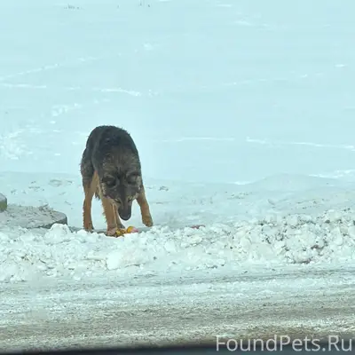 По дороге на Аргамач около зап...