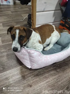 [id80411538|Ольга Короткова] Н...