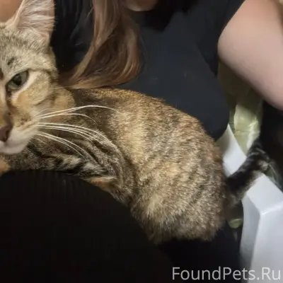 Здравствуйте 🤝 Пропала любимая...