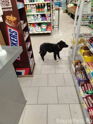 #Калуга Ул. ПЛАТОВА, ПЯТЁРОЧКА...