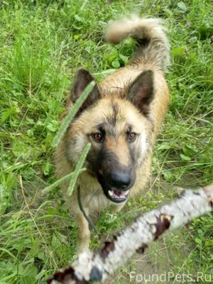 📍ОбьГЭС, Советский раойн Конеч...