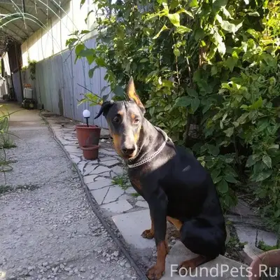 🆘🆘🆘🆘🆘 Пожалуйста,помогите найт...