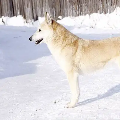 Доброго времени суток! Может, ...