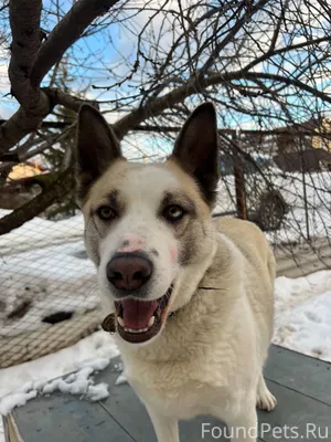 Всем здравствуйте, сегодня в З...